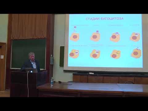 Видео: Недоспасов С. А. - Иммунология - 5. Молекулярно-клеточные аспекты врожденного иммунитета