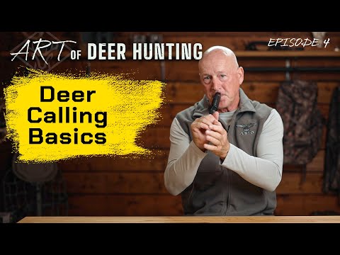 Видео: Основы подманивания оленей 101 | Язык оленей...