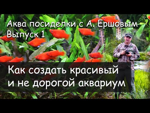 Видео: Красивый и не дорогой аквариум это возможно! Аква посиделки с А. Ершовым