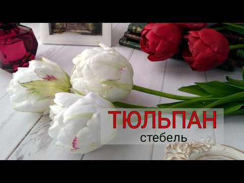 Видео: МК тюльпан из фоамирана или как сделать и закрепить цветок на стебле.