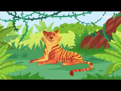 Видео: Әткеншек: Жабайы аңдар