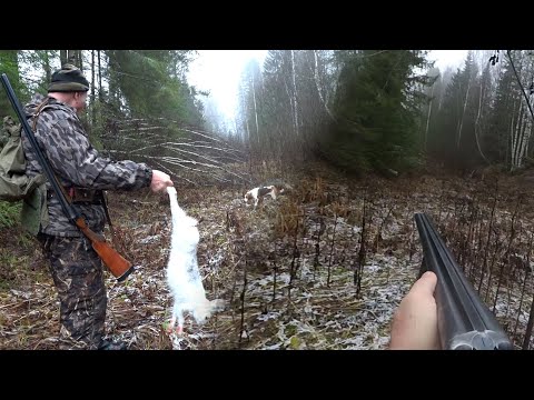 Видео: Белые ЗАЙЦЫ! БАТЯ навёл шороху... Охота на ЗАЙЦА! Сезон 2023 - 2024г. #7