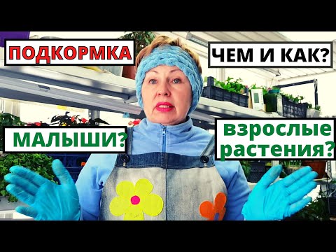 Видео: Как подкармливать маленькую рассаду и взрослые растения? Новые БУЙСКИЕ удобрения