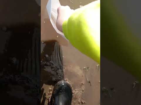 Видео: Что лучше маленький, средний или большой корабль из бумаги