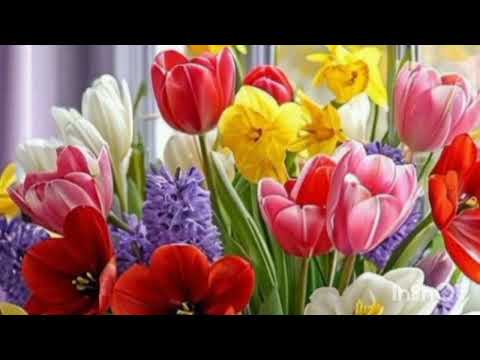 Видео: Ля ля фа ( кавер)