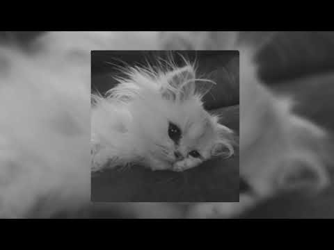 Видео: 🎧Плейлист крутых и вайбовых песен (Speed up) ||вайбовые треки||слушать музыку тик тока🎧