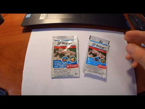 Видео: Хорус подделка или оригинал? Как отличить?