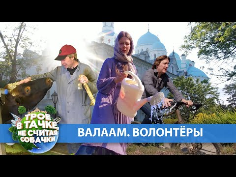 Видео: «Трое в тачке, не считая собачки» | Валаам. Волонтёры