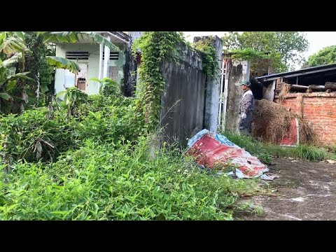Видео: Наведите порядок в заброшенном доме и превратите сад в красивое место.