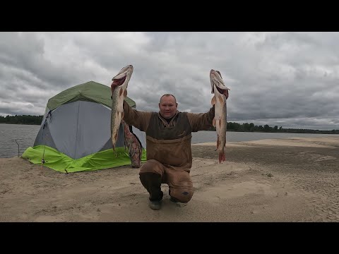 Видео: Рыбалка на реке Обь 31.08.2024 - 03.09.2024 год.