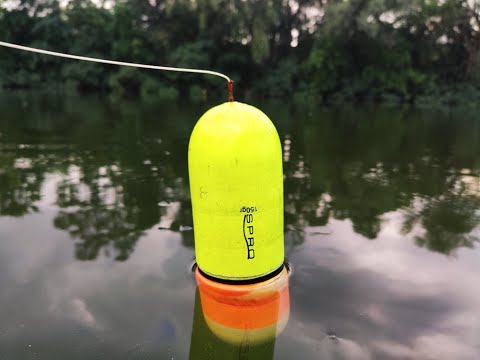 Видео: Сом на КВОК на ПОПЛАВОК.   ✅👉 КОНКУРС. Разыгрываем КВОК и СНАСТЬ.