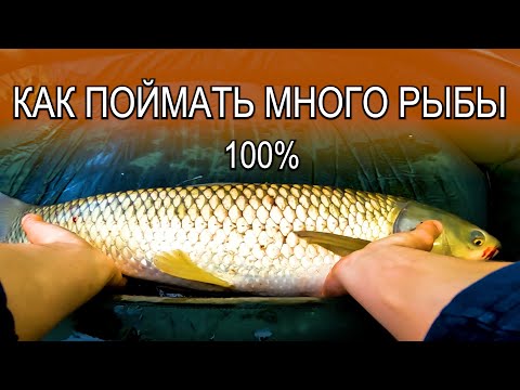 Видео: Лучшая оснастка для ловли КАРПА ВЕСНОИ !!! ПЕРВЫЙ ТРОФЕЙ ЭТОГО ГОДА ПОКЛЕВКИ НА КАМЕРУ!