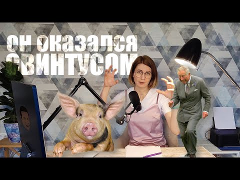 Видео: Мошенник из Тиндера / Как ему удавалось вытягивать деньги из женщин? / Любовь и микрокредиты