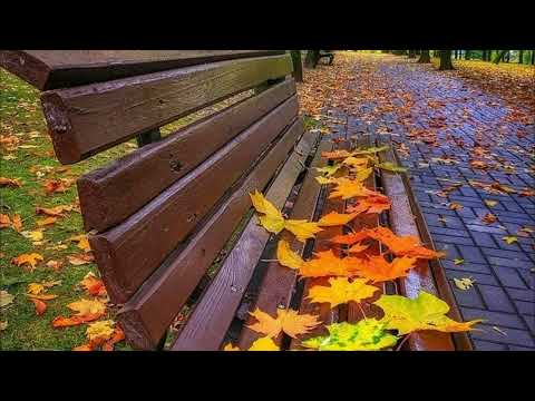 Видео: ОСЕНЬ В ЧУВСТВАХ! Музыка для глубокой души! Я плакала, когда услышала эту песню! Осень нашей любви