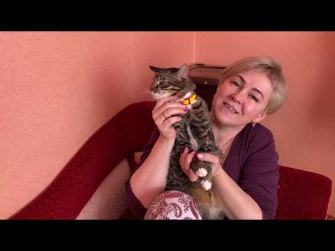 Видео: Пряжи много не бывает! Мои запасы. Часть вторая.