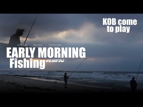 Видео: Коб приезжает на Falsebay | ASFN Rock & Surf