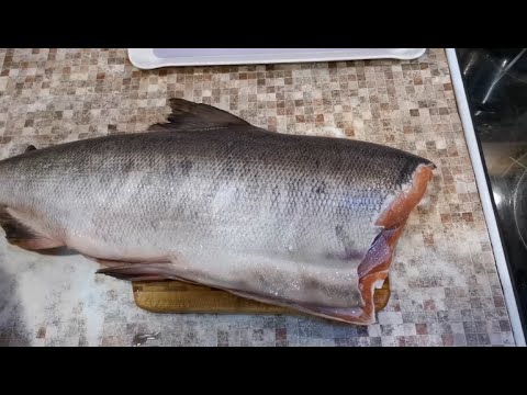 Видео: НЕВЕРОЯТНО что можно сделать  ...