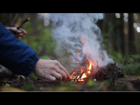 Видео: Оставь всех в покое и сосредоточься на себе