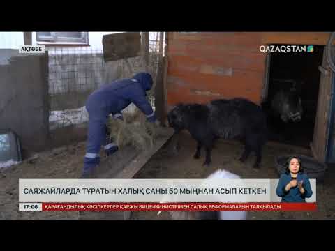 Видео: Ақтөбеде саяжайларда тұратын халық саны 50 мыңнан асып кеткен