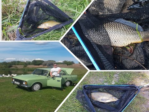 Видео: ловля леща в германии | фидер в германии | рыбалка в германии 2020 | ловля рыбы в германии