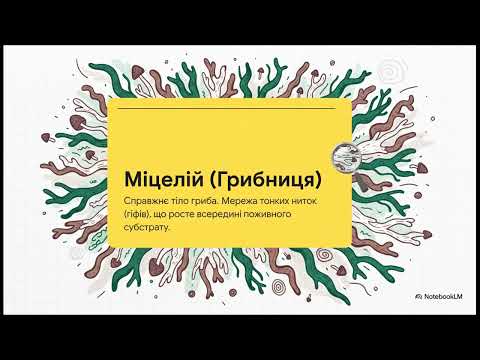 Видео: Царство грибів. Гриби