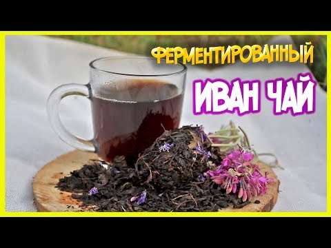Видео: ФЕРМЕНТИРОВАННЫЙ ИВАН ЧАЙ