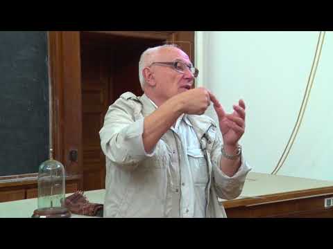 Видео: Алешкевич В. А. - Электромагнетизм - 1. Электростатика