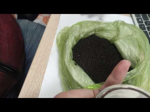 Видео: Палладий в банках ДП2 - магнитится! Подтвердится эта теория или нет? Смотрим в видео 🎥!