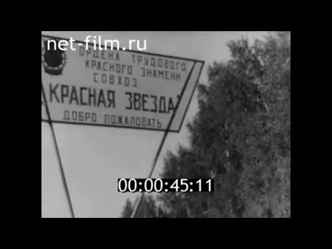 Видео: 1971г. совхоз Красная Звезда.Шадринский район. Курганская область