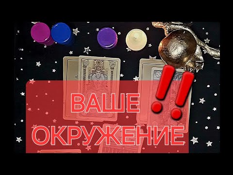 Видео: ‼️СВИТА ДЕЛАЕТ КОРОЛЯ🙄🙄🙄