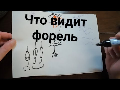 Видео: Форель. Как продлить клев. Теория.