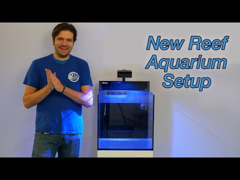Видео: Как обустроить рифовый аквариум. Часть 1. Аквариум и оборудование.