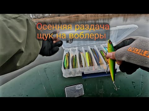 Видео: Осенняя раздача щуки.  Ловля на воблеры в октябре.