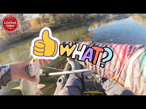 Видео: Затишие пред буря, нано джиг риблов по река Марица! (Част 2)