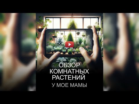 Видео: Растения у моей мамы 😃