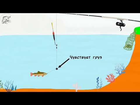 Видео: Очень важная часть оснастки ПОДПАСОК. Каждый рыболов должен знать это! #рыбалка #подпасок #fishing