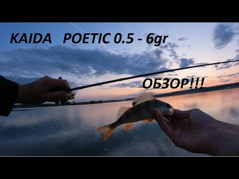Видео: Дешёвый спиннинг Kaida Poetic 0.5 - 6гр. ОБЗОР!!!Ловля ОКУНЯ на ДЖИГ и УОЛКЕР. Мягкий ПРУТИК!!!