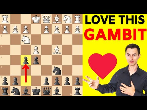 Видео: 3 ловушки из моего любимого дебюта за черных против 1.e4 [Гамбит Руссо]
