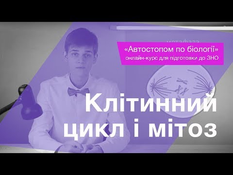 Видео: Клітинний цикл і мітоз – Підготовка до ЗНО – Біологія