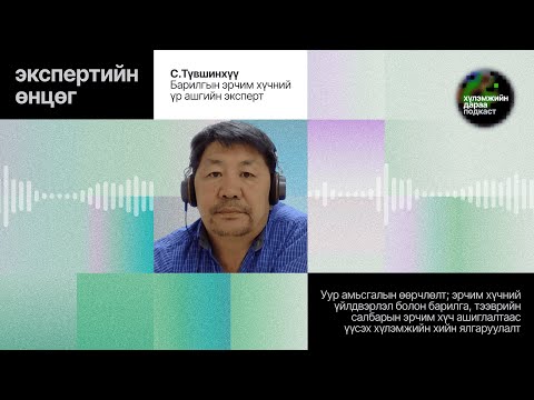 Видео: "Экспертийн өнцөг" булангийн 1-р ярилцлага: Эксперт С.Түвшинхүү 🟢 Хүлэмжийн дараа подкастын 1-р анги