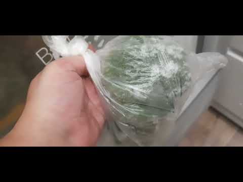 Видео: 1 сентября/ /заморозка перца//розы в порядке//