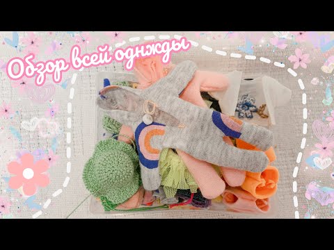 Видео: ВЕСЬ ГАРДЕРОБ МОИХ СИЛИКОНОВЫХ МИНИ РЕБОРНОВ / ОБЗОР ВСЕЙ ОДЕЖДЫ  МИНИ РЕБОРНОВ