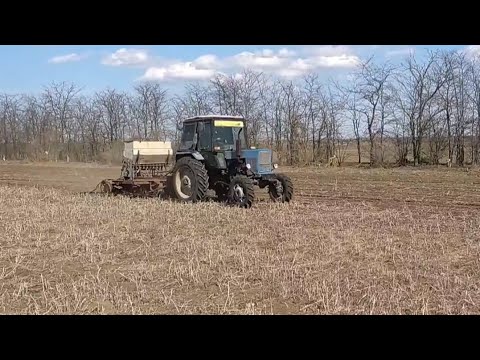 Видео: Посев чечевицы красной сеялкой сзс 2.1 no till