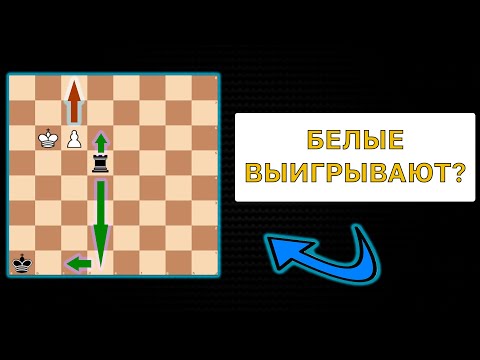 Видео: ПЕШКА против ЛАДЬИ - КРАСИВЕЙШИЙ ЭТЮД всех времен?