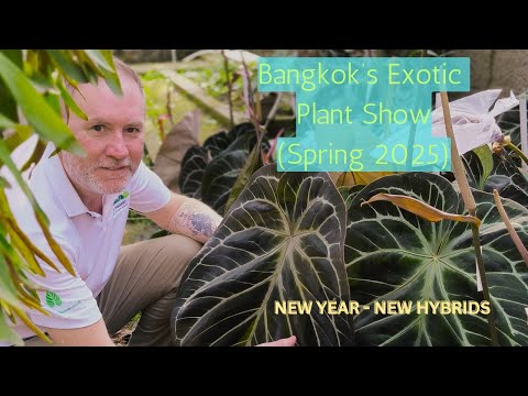 Видео: Международная выставка растений в Бангкоке (весна 2025 г.)