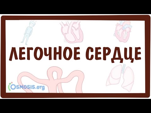 Видео: Легочное Сердце (Cor Pulmonale)