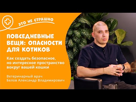 Видео: Это не страшно. Повседневные вещи, опасности для котиков