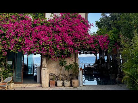 Видео: Прогулки по Сиде. Турция. Июнь 2024. Старый город, набережная, корабль, бёрдвотчинг в Турции