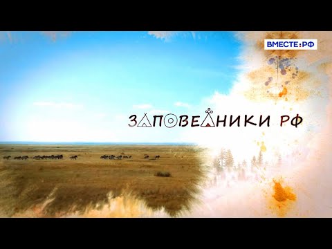 Видео: История Оренбургского заповедника. Заповедники РФ