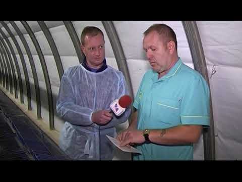 Видео: НАША МАРКА 24 10 18 Кролеферма ДонКрол S MYZ